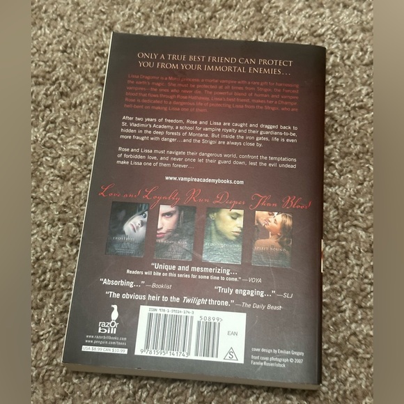 Vampire Academy 2007 Rachel Mead The black key Amy Ewing UK cover first printing - Picture 9 of 9